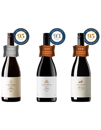 3 Great Shiraz, 3 Iconic Regions!